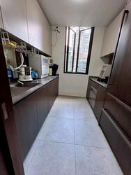 Leedon Green (D10), Condominium #467178561